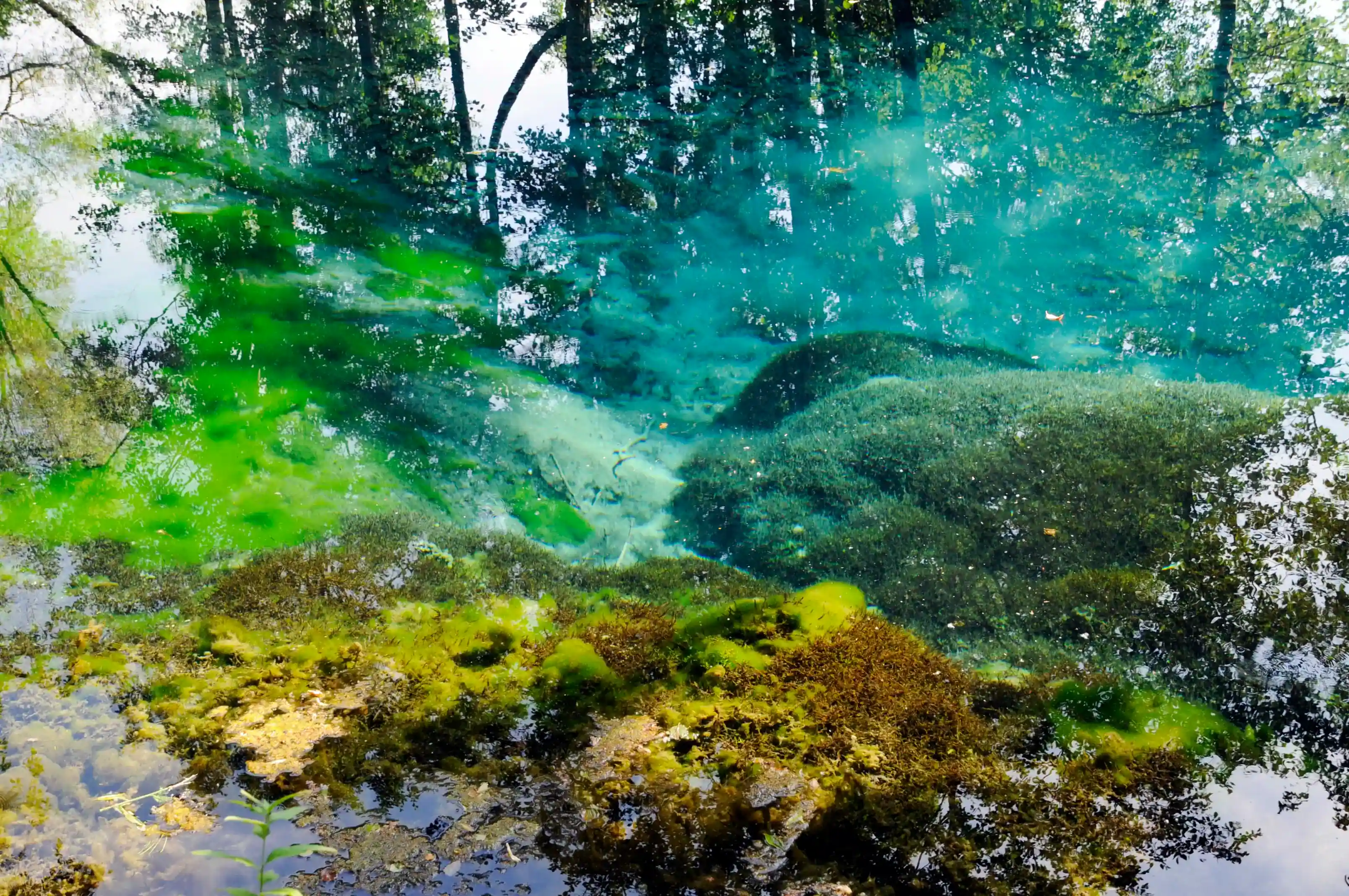 Голубые озера Татарстана — фото 2